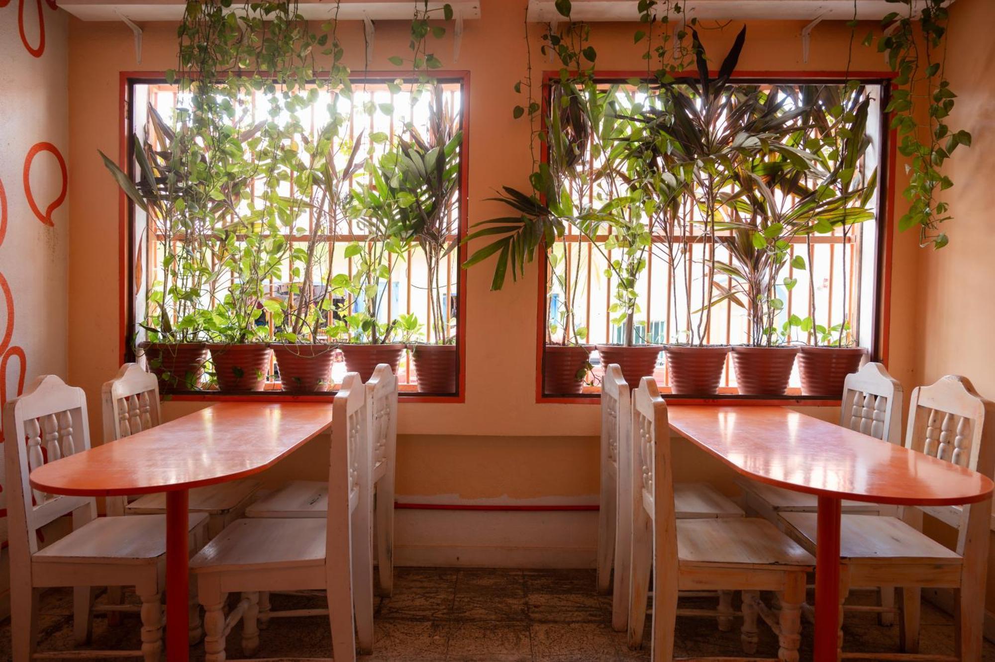 Macarena Hostel Flores Kültér fotó