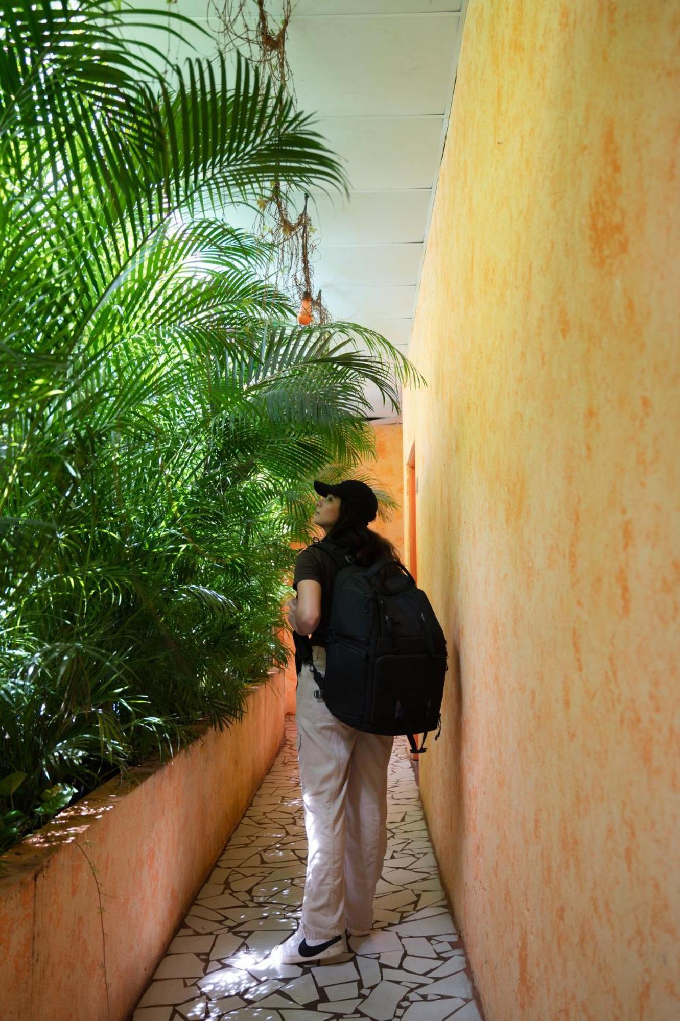 Macarena Hostel Flores Kültér fotó